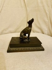 Trofeo caccia segugio usato  Torrita Tiberina