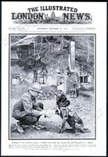 1915 labrador retreiver for sale  Denver