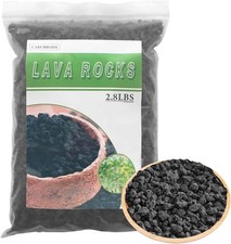 Black lava rocks for sale  Brooklyn