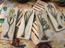 Iris orchid design for sale  Clayton