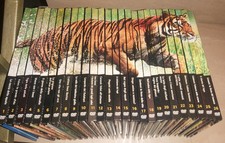 Natural killers dvd usato  Milano
