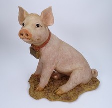 Sitting piglet garden for sale  NORTHALLERTON