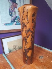 Unique tall yew for sale  LAUNCESTON
