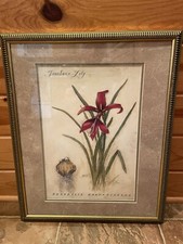 Beautiful botanical jacobean for sale  North Tonawanda
