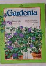 Gardenia fiori piante usato  Vejano