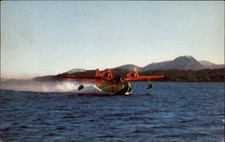Ketchikan alaska ellis for sale  USA