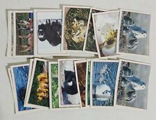 I101298 FgC/ Lotto 35 Figurine - Baby Animals - Panini comprar usado  Enviando para Brazil