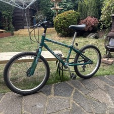 raleigh 20 girls bike for sale  WALTHAM CROSS