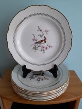 Assiettes plates 24cm d'occasion  Maintenon