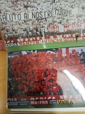Fototifo ultras vicenza usato  Piadena Drizzona