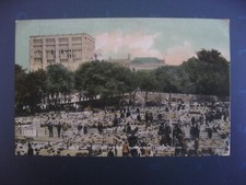 Postcard cattle cattle for sale  UK