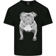 American bully striking for sale  COVENTRY