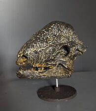 Moulage fossile reproduction d'occasion  Floirac