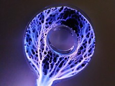 Violet ray wand for sale  Portland