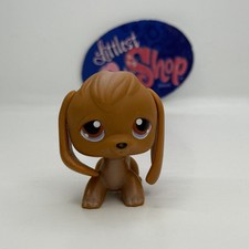 Beagle dog authentic for sale  Centreville