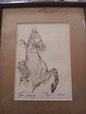Vintage beautiful horse for sale  Apopka