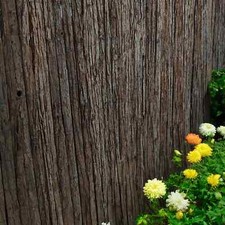Premium bark fencing for sale  READING