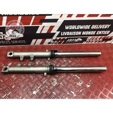 fourche hornet d'occasion  France