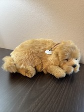 Perfect petzzz golden for sale  North Little Rock