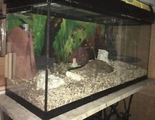 Aquarium litres d'occasion  Nantes-