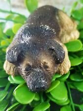 Sandicast lil snoozers for sale  West New York