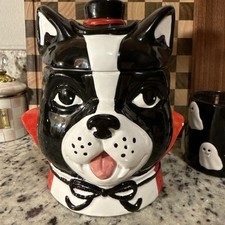 Boston terrier vampire for sale  Tulsa