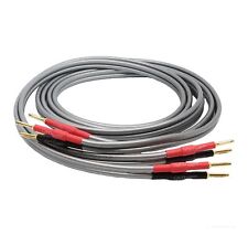 Qed reference xt40i usato  Mercato San Severino
