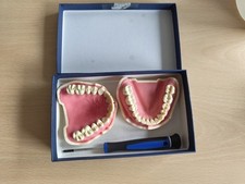 Frasaco ana uk gebraucht kaufen  Lonsee