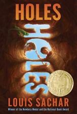 Holes holes series for sale  Arlington