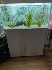 large marine fish tanks for sale  BOOTLE