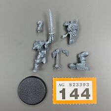 PIT CHAMPIONS SPIRE TYRANTS CHAOS EVERCHOSEN WARCRY MARAUDER HERO PIT FIGHTER comprar usado  Enviando para Brazil