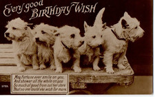 Vintage birthday greetng for sale  MATLOCK