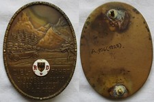 Bronze plakette zielfahrt gebraucht kaufen  Borna