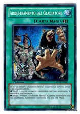 Addestramento del gladiatore usato  Venezia