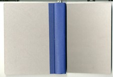 Riginal lehning standard gebraucht kaufen  Halle