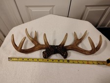 Faux deer antler for sale  Miramar Beach