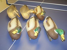 Super magnum mallard for sale  Mason