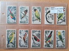 Barratt cage aviary for sale  OTTERY ST. MARY