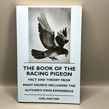 Book racing pigeon for sale  BRISTOL