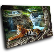 A412 waterfall tiger for sale  STRABANE