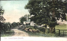 Knowle near bristol. for sale Knowle near bristol. for sale  YORK