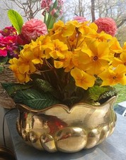 Schön alt blumentopf gebraucht kaufen  Leipzig
