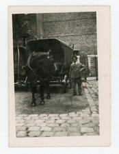 Photo snapshot 1943 d'occasion  Expédié en Belgium