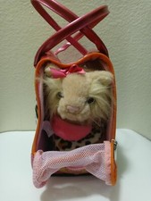 Pucci pups tabby for sale  San Diego