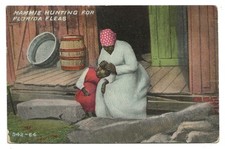 Mammie hunting florida for sale  Grand Rapids