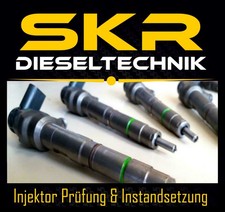 Einspritzdüse bosch injektor gebraucht kaufen  Castrop-Rauxel
