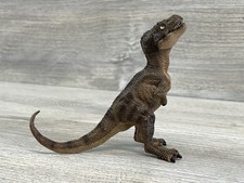 rex babies for sale  Saint Paul