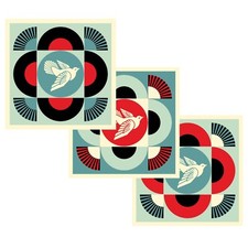 Shepard fairey 2024 usato  Asti