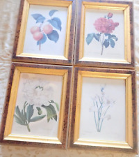 Redoute prints framed for sale  Orchard Park