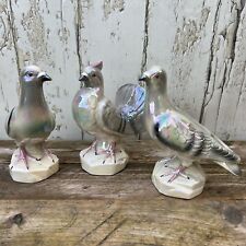 Vintage pigeon ornament for sale  BISHOP AUCKLAND